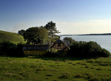 Lammefjord. Foto: Nicolai Perjesi