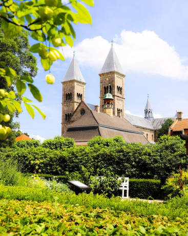 Viborg Domkerk. Foto: Daniel Brandt Andersen - VisitDenmark