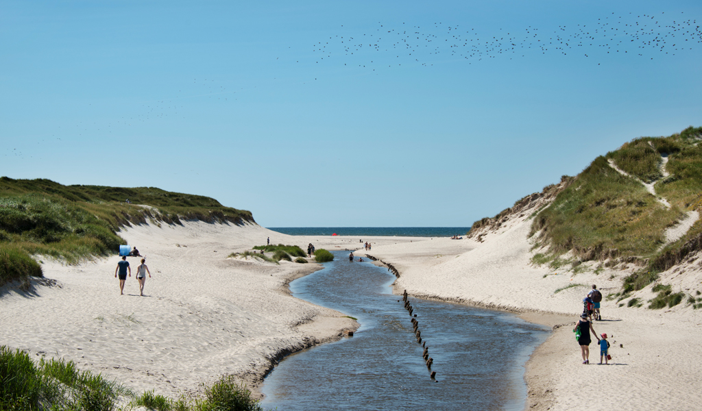 Geldzaken in Denemarken