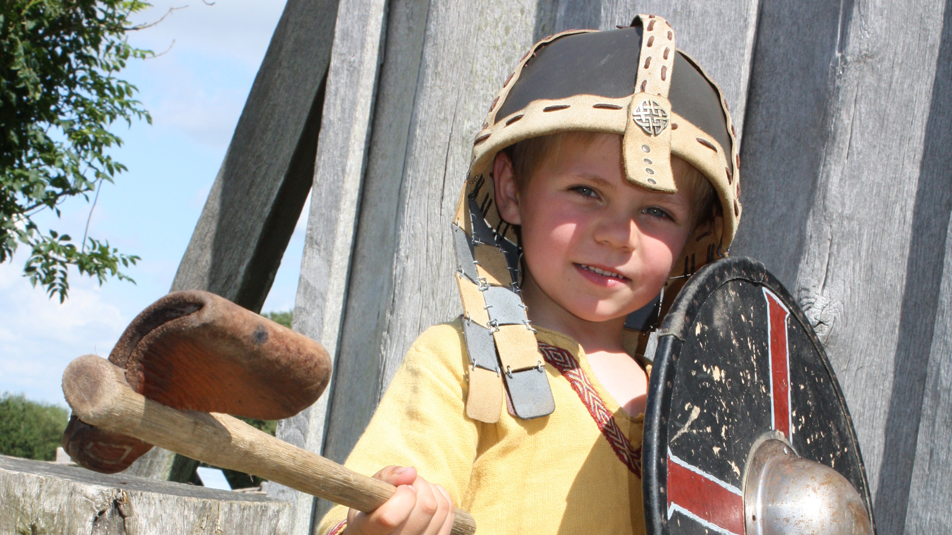 De Vikingschatten van Zuid-Denemarken